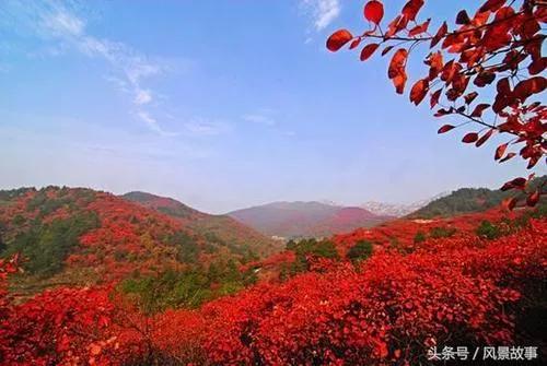 《霜降北風瑟》2021.10.10.29