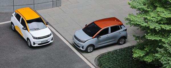 2.98萬、要駕照、能上牌、有保險、四門四座 新款雷丁芒果上市