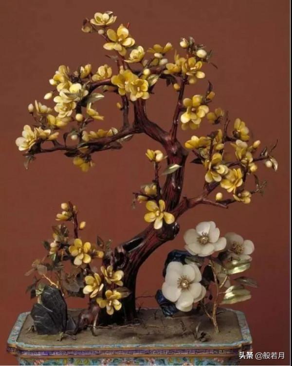 這些盆栽要是家裡能有一盆，賊有面子