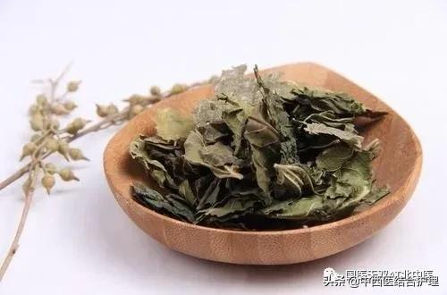 「養生有道」春季一杯代茶飲 幫您疏肝宣肺調通五臟