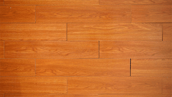 掃地機強力伴侶 小戶型的新選擇:iRobot Braava jet m6 一年使用體驗 掃地機強力伴侶 小戶型的新選擇:iRobot Braava jet m6 一年使用體驗