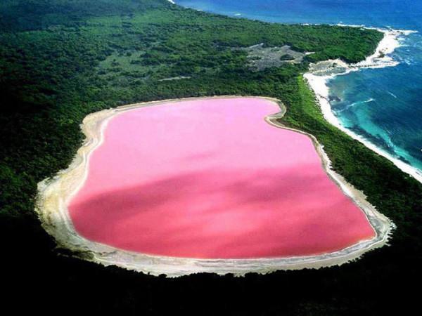 塞內加爾的底層生活：採鹽工為了掙錢，渾身潰爛也要泡在鹽湖裡