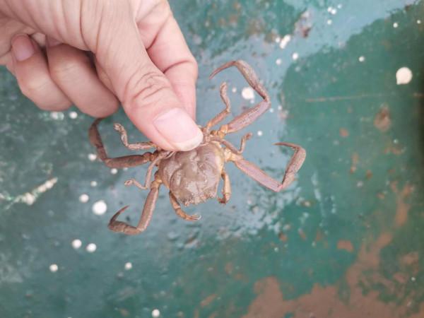 黃驊港出海+南大港溼地兩日遊能不去就別去了，原因