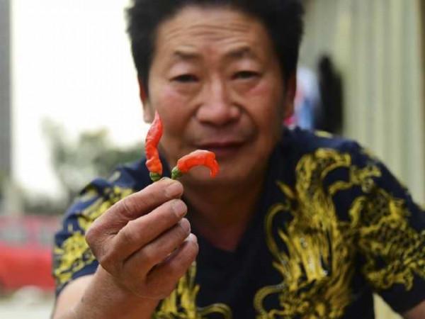中國辣王李永志：一餐5斤辣椒配白酒，32個魔鬼辣椒擊敗印度老人