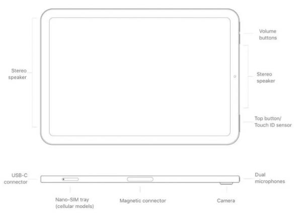 Apple iPad mini 6 淘汰耳機插孔 Apple iPad mini 6 淘汰耳機插孔