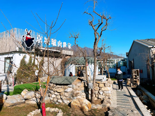 日流水20萬，它在院裡賣驢肉，小院餐飲正悄悄走火