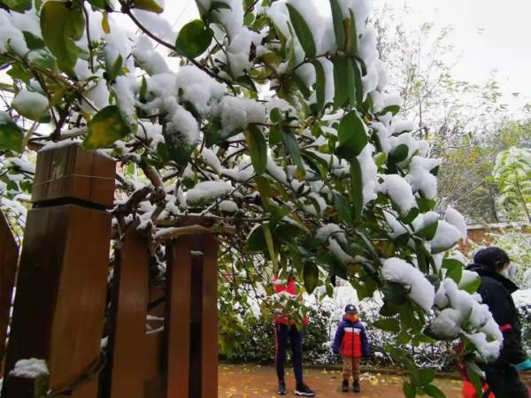 讓人直呼“哇噻”,房山這兩地的雪景大片,你一定得看看 讓人直呼“哇噻”,房山這兩地的雪景大片,你一定得看看