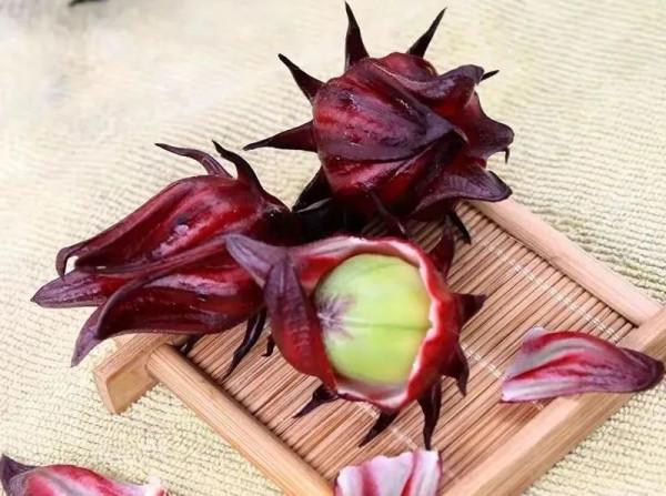 “植物紅寶石&quot;洛神花，泡茶酸甜可口，還有這些功效