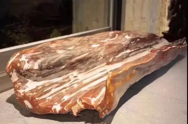 木化石，億萬年前的遺世孤品