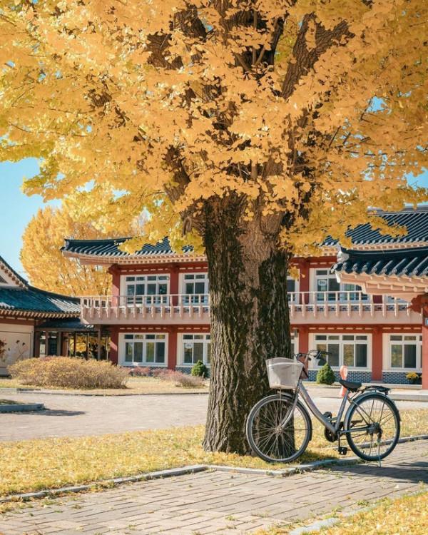 50張圖片展示出韓國不一樣的一面