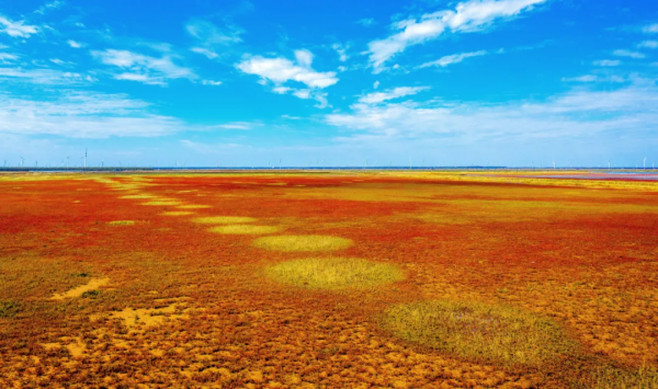 深秋，這裡是條子泥