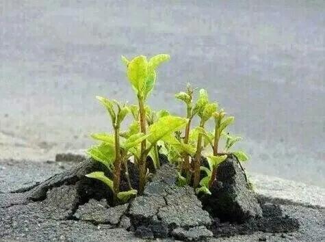 男人的夢是不是可以這樣來做？3