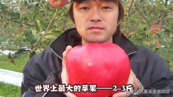 盤點18種全球最大的水果、蔬菜,都是常見的,卻大到讓人瞠目結舌 盤點18種全球最大的水果、蔬菜,都是常見的,卻大到讓人瞠目結舌