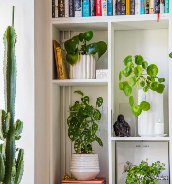 15個最時尚的書籍儲存創意