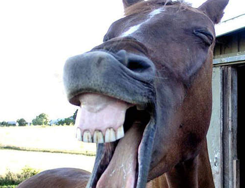 一大笑就破功！網友分享對“白馬王子”幻想毀滅瞬間