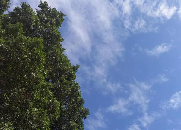 這次的疫情讓我們心連心，一起勇躍跨過，大朗加油！我們一起加油