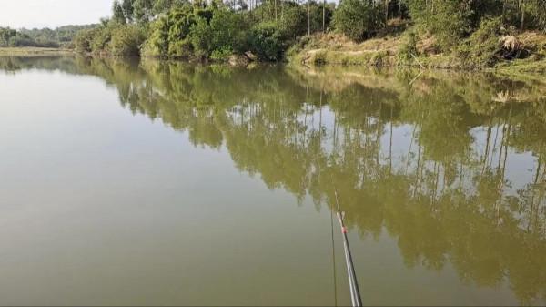 吃一口就中毒？釣到這種魚千萬別亂吃，它是淡水“毒王”