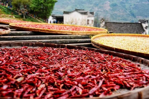 9月,這10個地方藏著中國最美景色!千萬別錯過了 9月,這10個地方藏著中國最美景色!千萬別錯過了