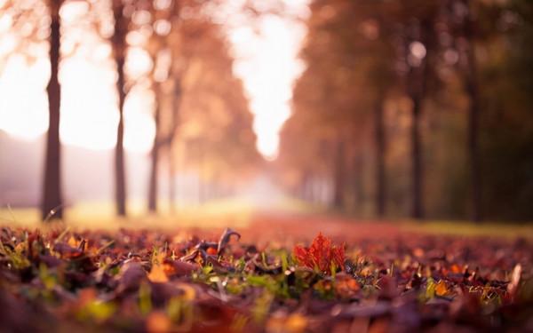 穿“米色毛衣”時,如何顯膚白?3類優雅色穿搭乾貨,秋冬最愛啊 穿“米色毛衣”時,如何顯膚白?3類優雅色穿搭乾貨,秋冬最愛啊