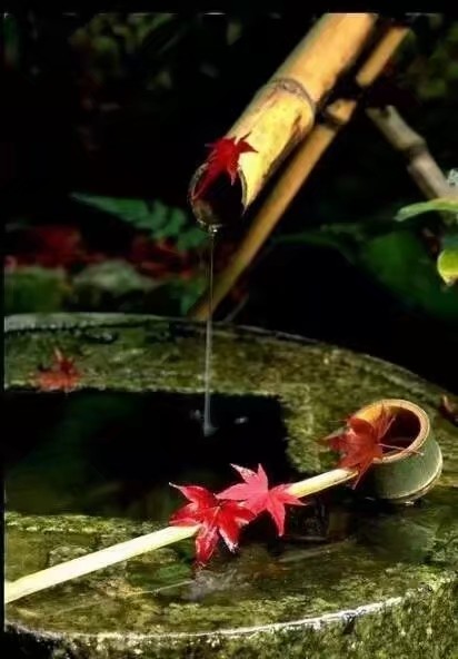 散文:秋光闌珊,人生不言滄桑 散文:秋光闌珊,人生不言滄桑