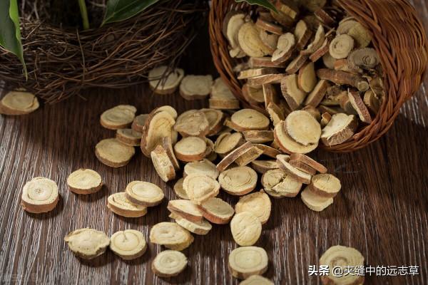 喝水都長肉？講兩個方子，一個化痰，一個清熱，給胖子減減肥