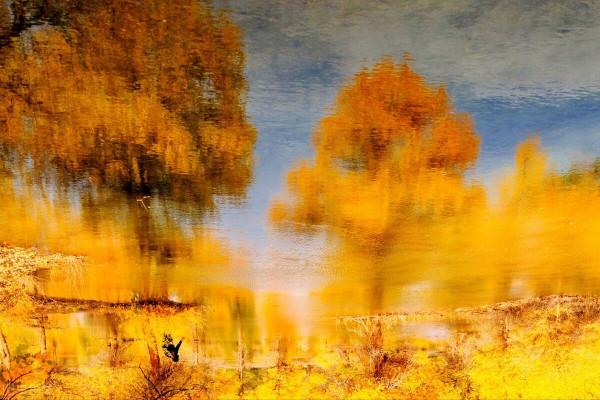 美景的初戀 美景的初戀