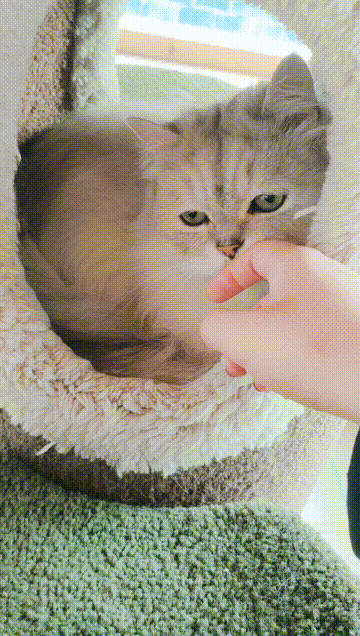 撤回這個問題，還來得及