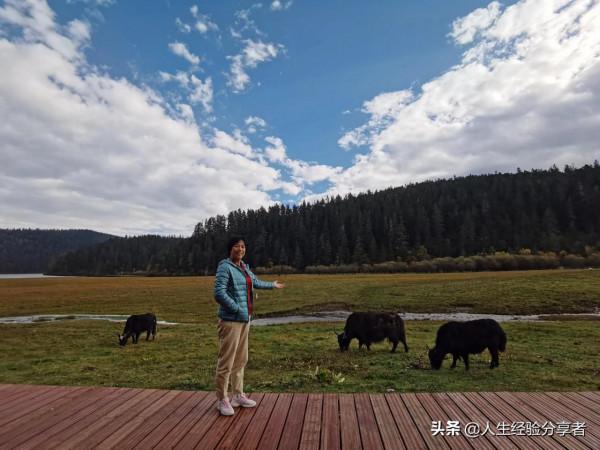 香格里拉一日遊記(跟團) 香格里拉一日遊記(跟團)