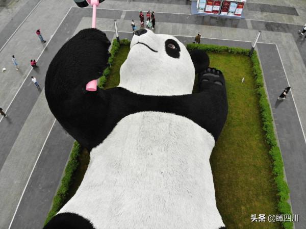 “大黃鴨之父”在中國建了座全球最重大熊貓雕塑:130噸重26米長 “大黃鴨之父”在中國建了座全球最重大熊貓雕塑:130噸重26米長