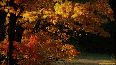 一顆心的寧靜,源自對世間萬物的熱愛與諒解 一顆心的寧靜,源自對世間萬物的熱愛與諒解