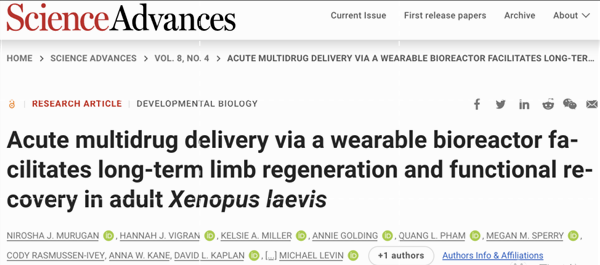 重大突破！哈弗大學青蛙&OpenCurlyDoubleQuote;立功&rdquo;，斷肢重生、有血有肉還能踢腿