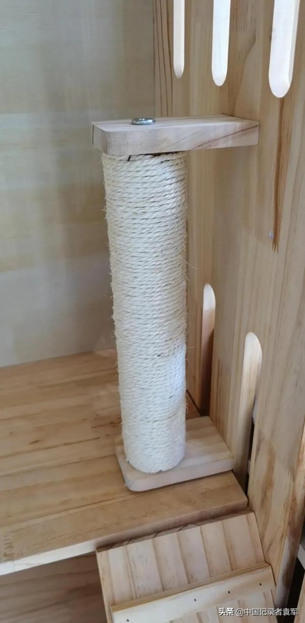 我最喜歡哥哥的寵物貓