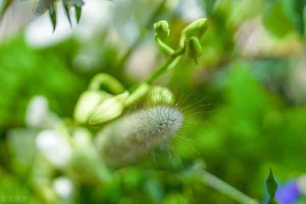 65歲阿姨坦言:老了有固定收入有房住,最好別再找了自由自在多好 65歲阿姨坦言:老了有固定收入有房住,最好別再找了自由自在多好