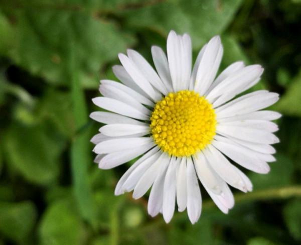 12星座的“廬山真面目”，你真的知道嗎？