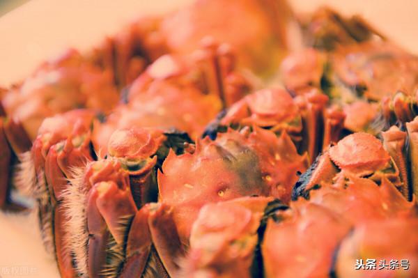 雞蛋漲至6元，“羊荒”來襲，牛蛙不示弱，但有1個好訊息