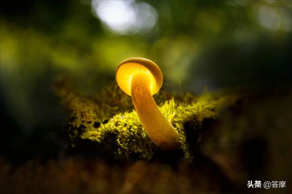 梁冬:最怕的就是動不動就有情緒的人 梁冬:最怕的就是動不動就有情緒的人