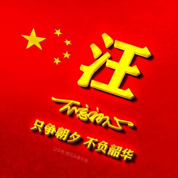 200張正能量姓氏頭像，張張精品，只爭朝夕 不負韶華