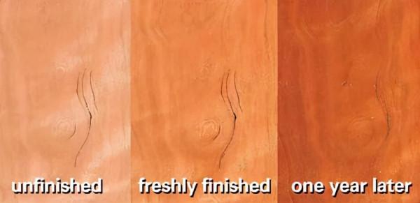 認識北美櫻桃木,見證水阻划船機歷史的“木中瑰寶” 認識北美櫻桃木,見證水阻划船機歷史的“木中瑰寶”