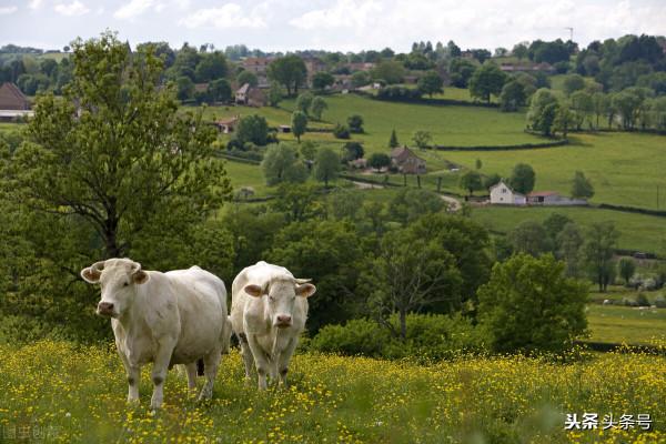 戶口“非轉農”開始辦理,4類戶口可以順利回村 戶口“非轉農”開始辦理,4類戶口可以順利回村