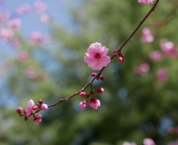 有本事,卻很低調的星座,表面沉默寡言,實際上有手段 有本事,卻很低調的星座,表面沉默寡言,實際上有手段