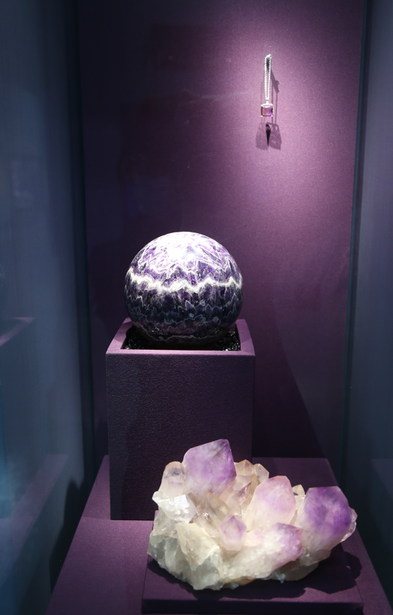 白堊紀山東恐龍全揭秘，山東博物館備齊大展迎春節