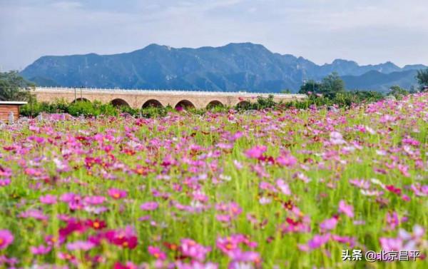 2021好幸運，和你在昌平走過春夏秋冬