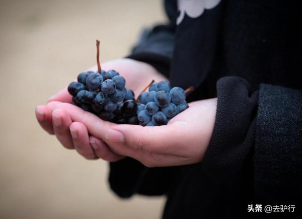 喝了這麼多年進口紅酒,居然不知道有這麼多名堂,外國人真會玩 喝了這麼多年進口紅酒,居然不知道有這麼多名堂,外國人真會玩