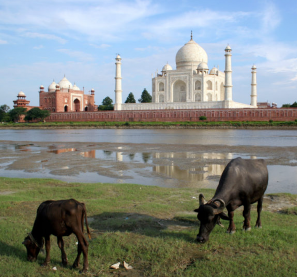 重新認識印度：延續數千年的文明古國