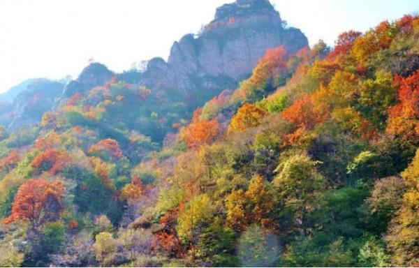 這個秋天,待疫情結束,牽手去旅行 這個秋天,待疫情結束,牽手去旅行