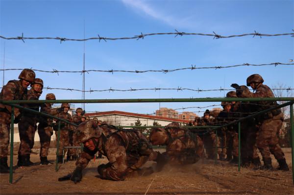 陸軍某海防旅防空營：號角催徵旌旗烈，聞令而動礪精兵