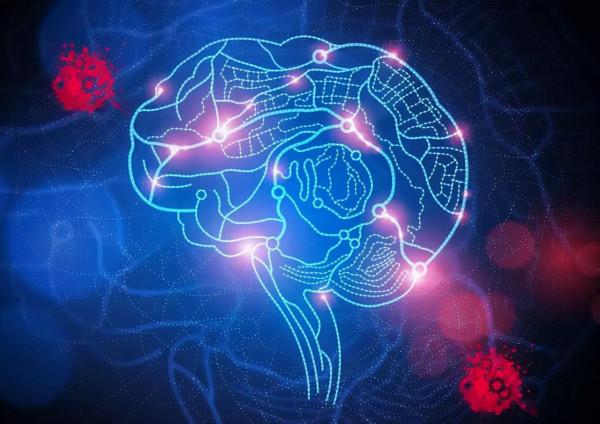 人腦由粒子構成，粒子遵循物理定律，人的意識是被決定還是自由？