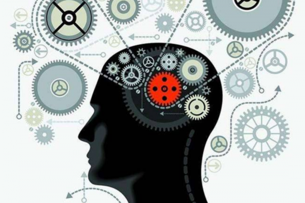 人類的大腦相當於多少G的記憶體？其實我們一直都低估了大腦的能力