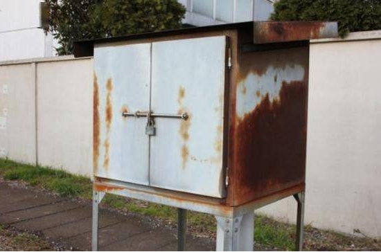 日本市川市河畔發生殘忍事件，6只貓被人切開腹腔，激怒日本網友