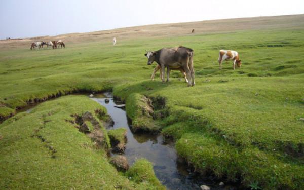 中國最窄的河流,最窄處僅幾公分,被當地人稱“嗓子眼” 中國最窄的河流,最窄處僅幾公分,被當地人稱“嗓子眼”